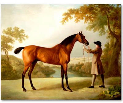 Tristram Shandy Bay race horse , painting by George Stubbs c1760