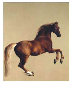 horse art. painting of Whistlejacket by George Stubbs c1762