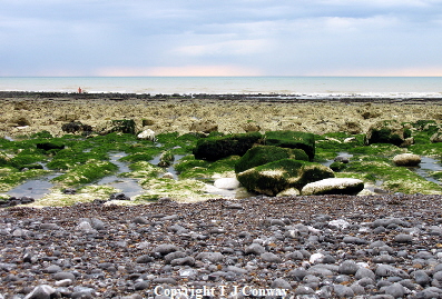 photograph of the Birling gap, England,  beach view